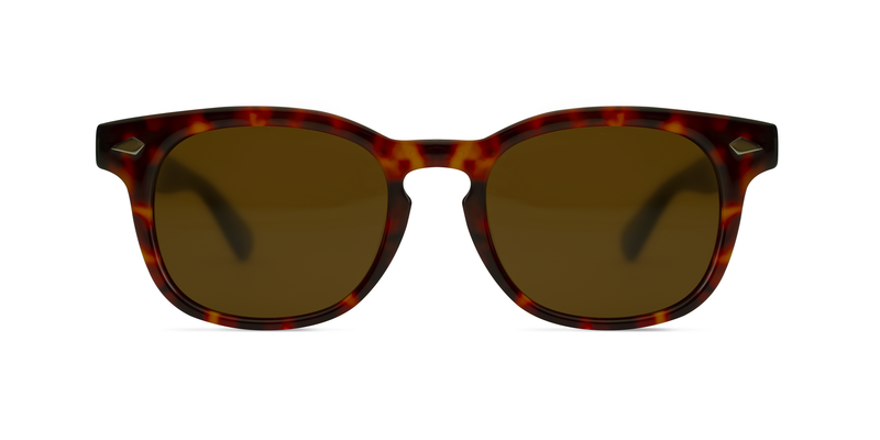 Will Bloom Bruci Polarizado